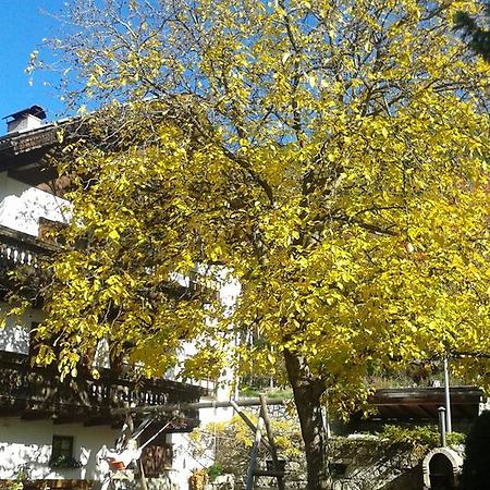 Huberhof Apartman Bressanone Kültér fotó